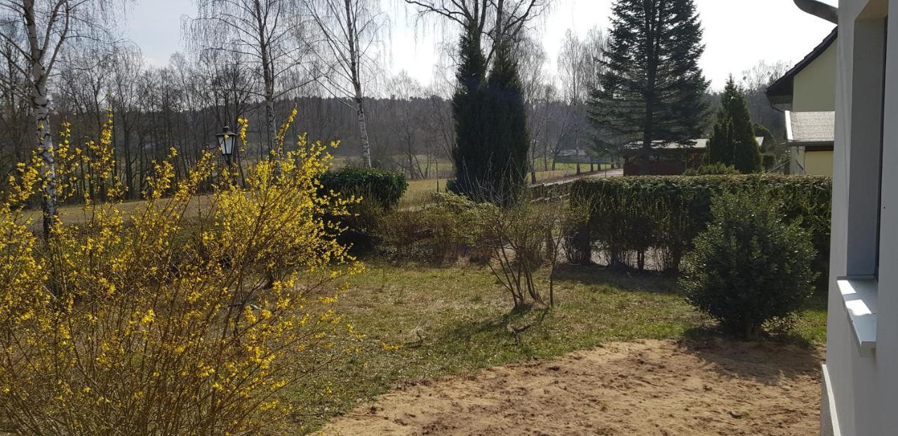 Mecklenburgische Seenplatte - Fh Mit Optionalem Steg Und Ruderboot Grosszerlang 외부 사진